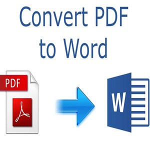 تحويل ملف PDF إلى صيغة ملف وورد  Word