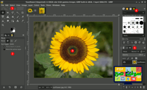 تحميل برنامج GIMP جيمب 2023 للكمبيوتر والموبايل برابط مباشر مجانا 6